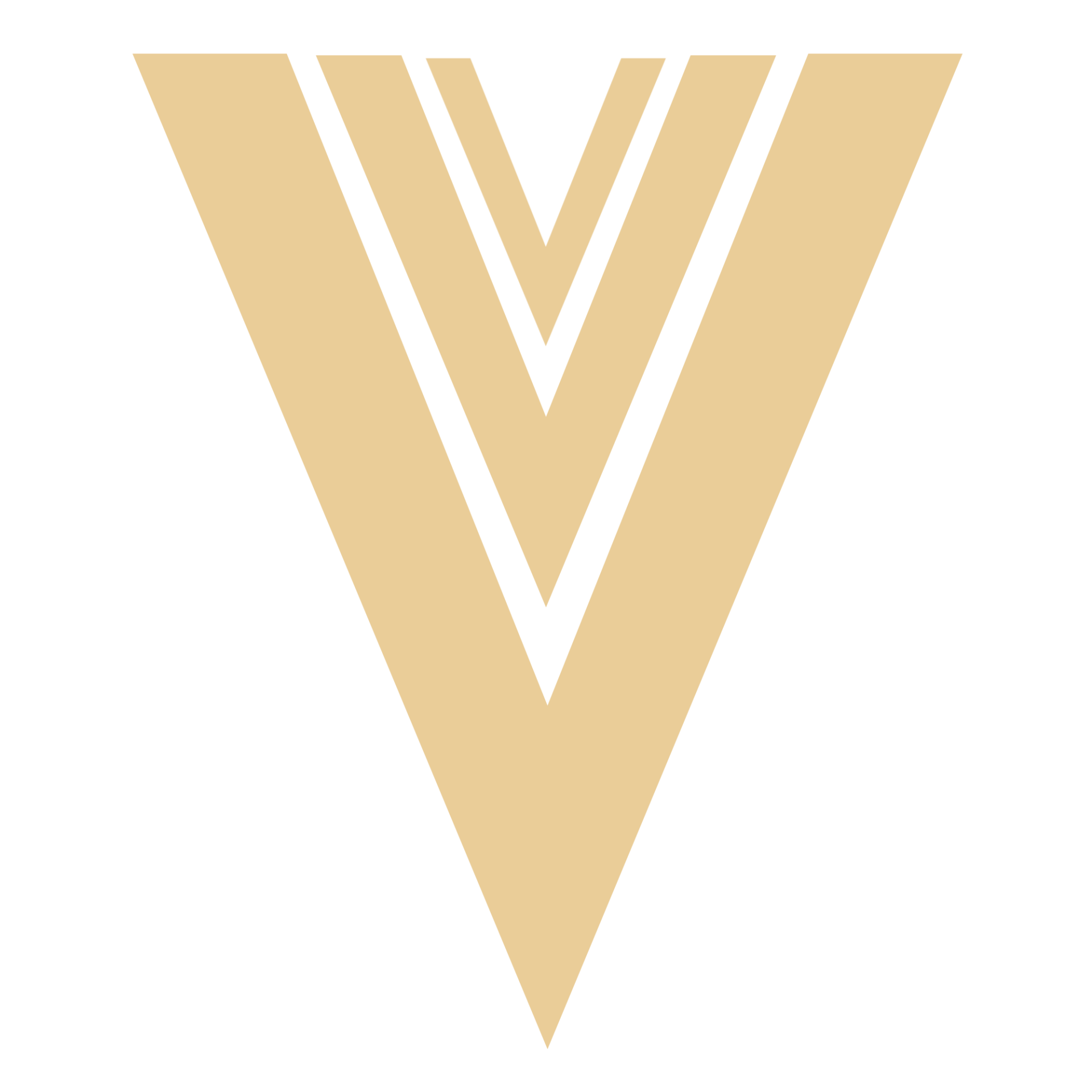 VRC Logo